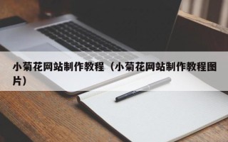 启东小菊花网站制作教程（小菊花网站制作教程图片）